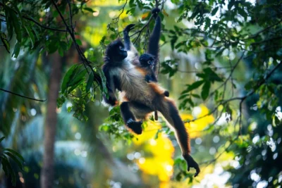 Los lugares más hermosos para visitar en El Salvador