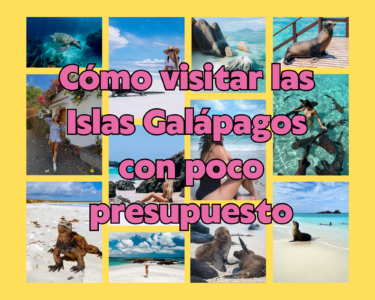 Cómo visitar las Islas Galápagos con poco presupuesto