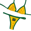 Brazilian Bikini