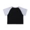 Color-Blocked Raglan Sleeve Crop Top - Image 2