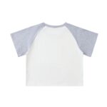 Color-Blocked Raglan Sleeve Crop Top - Image 4