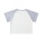 Color-Blocked Raglan Sleeve Crop Top - Image 4