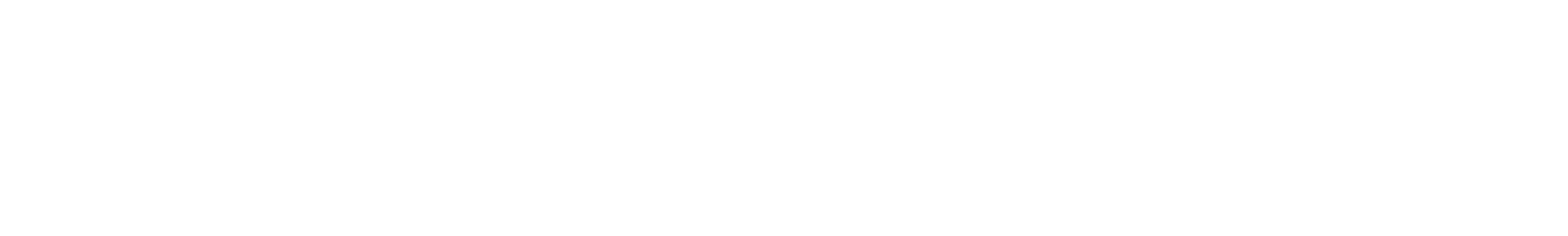 vivel la version